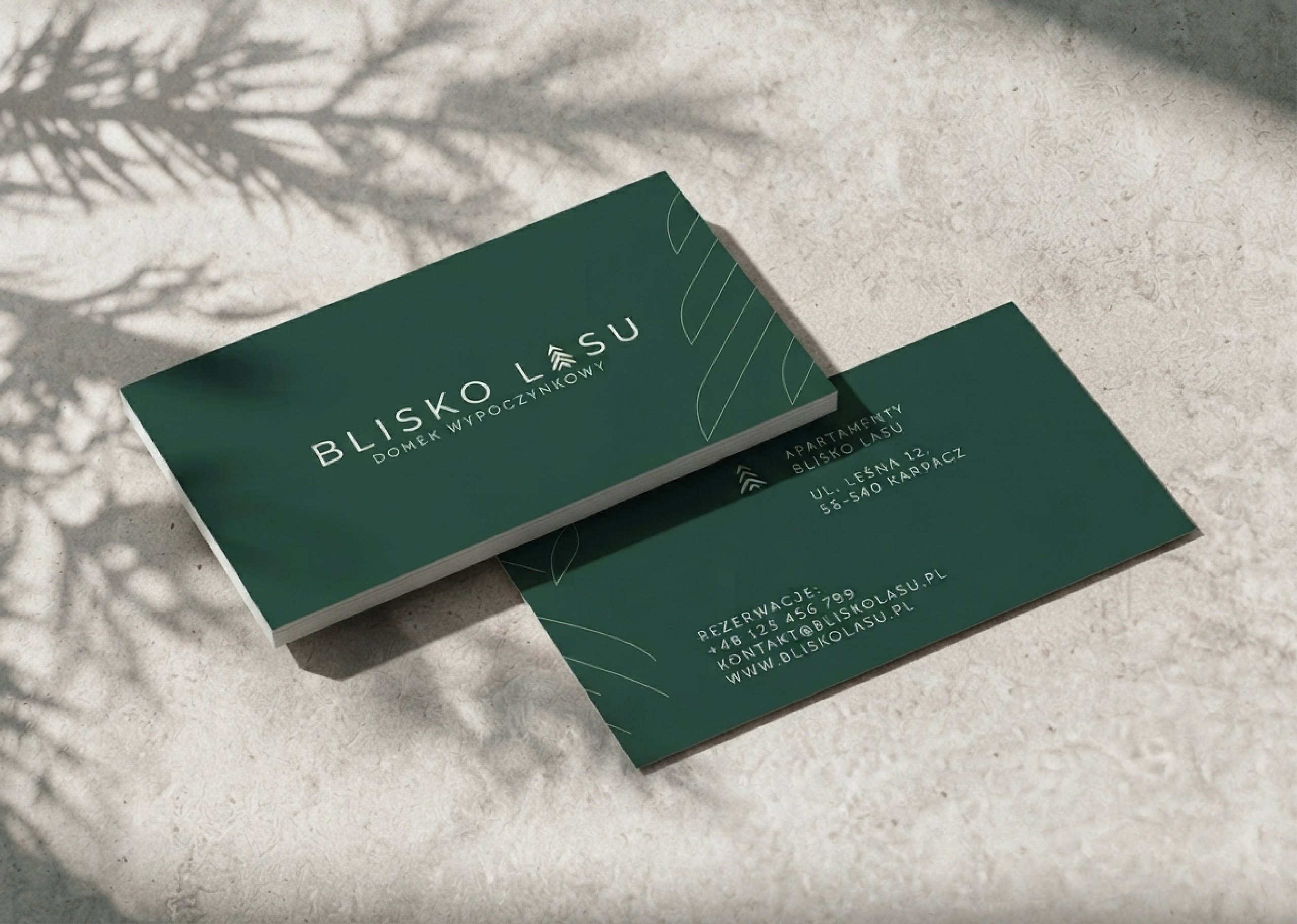 Dark-green “BLISKO LASU” brochures with white text and leaf line art on a textured pale surface.