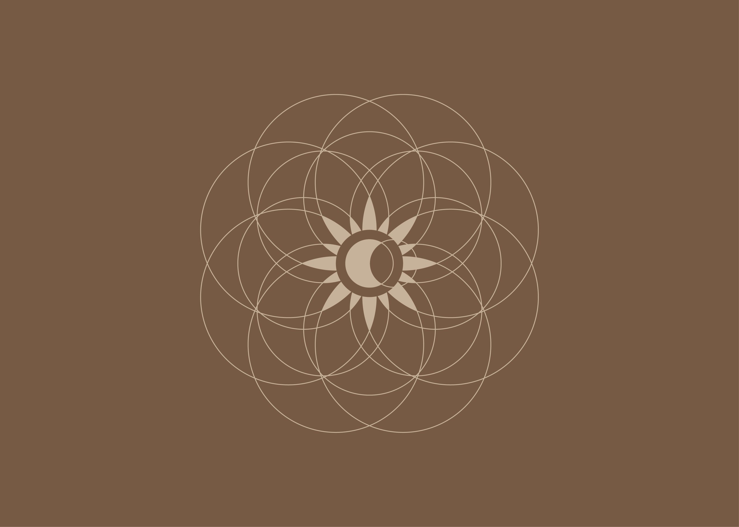 Pale geometric flower and overlapping circular linework on a dark brown background.