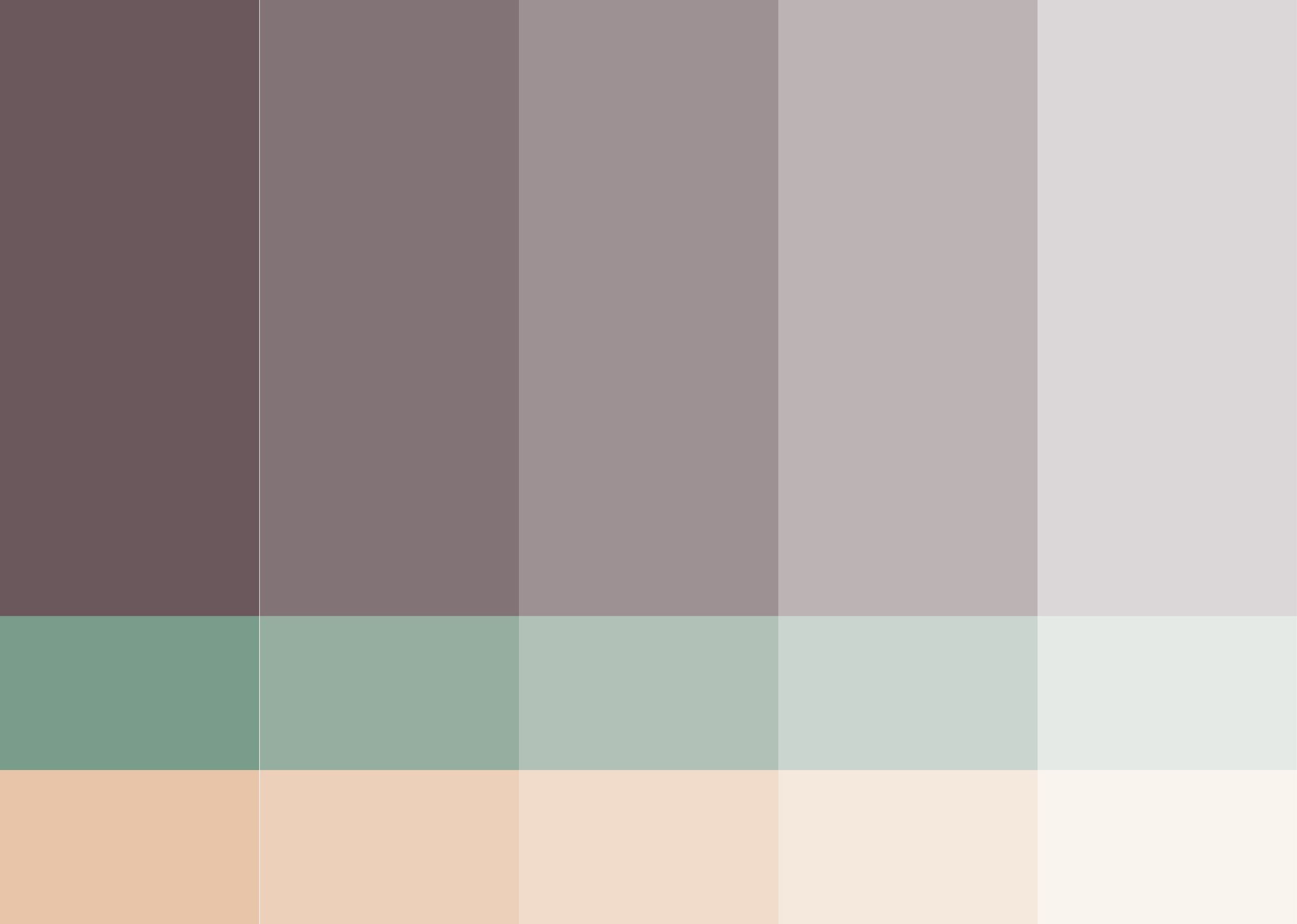 Abstract five-column grid with purple, green, and peach horizontal color bands.